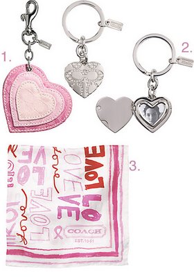 coach-valentines-day
