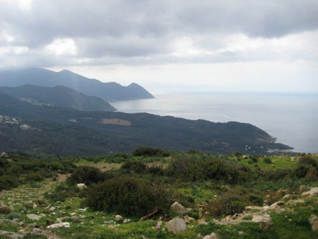 2629_617007514831_7144_36281152_8145716_n