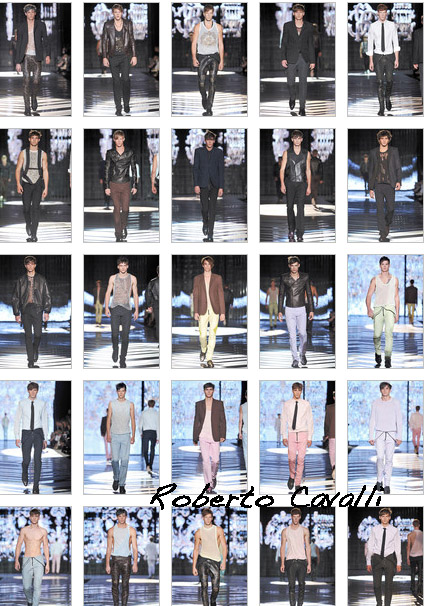 Roberto Cavalli Spring 2010 Menswear