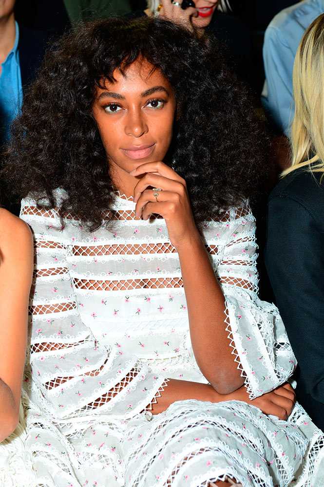 solange-knowles-zimmermann-schutz-1