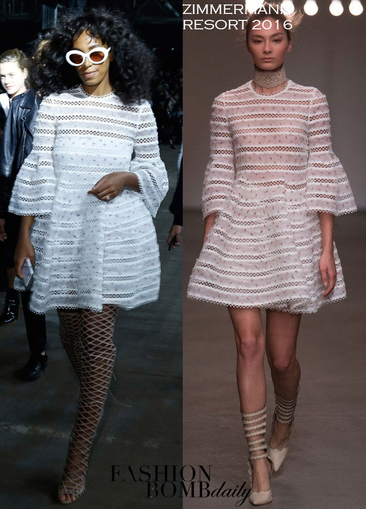 solange-knowles-zimmermann-schutz-3