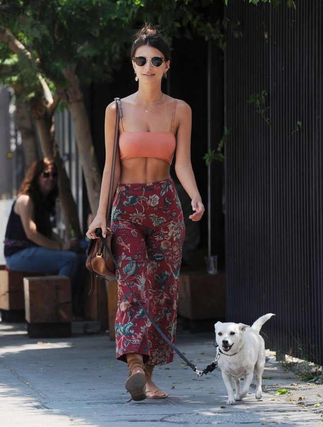 Emily-Ratajkowski--Walking-her-Dog-in-Los-Angeles-staud
