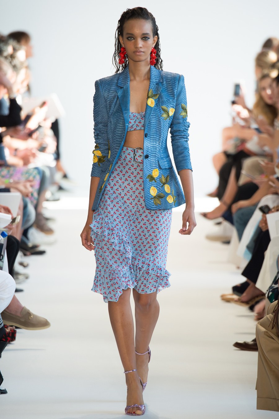 Altuzarra Spring 2017 1