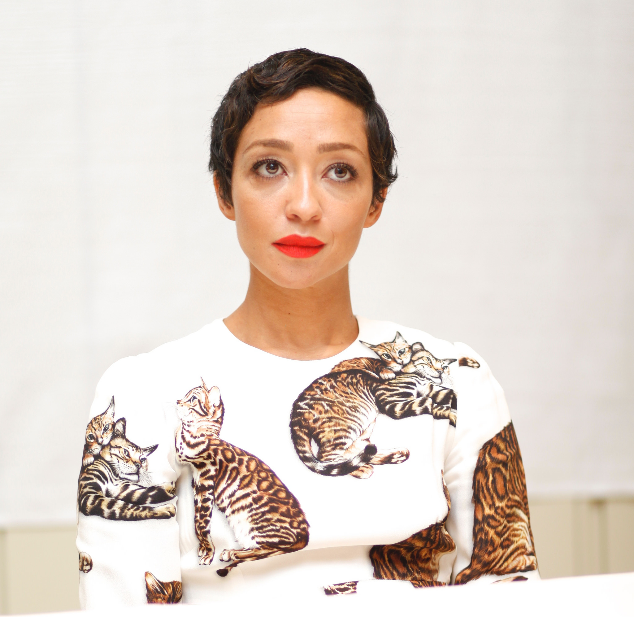dolce-gabbana-printed-cat-lady-round-neck-dress