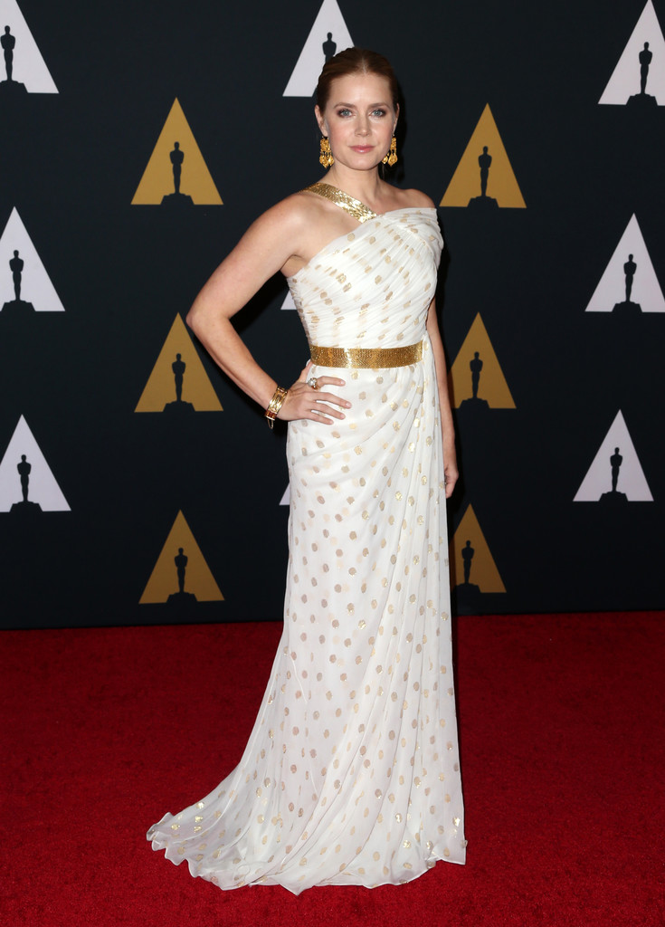 academymotionpictureartssciences8thannual-amy-adams