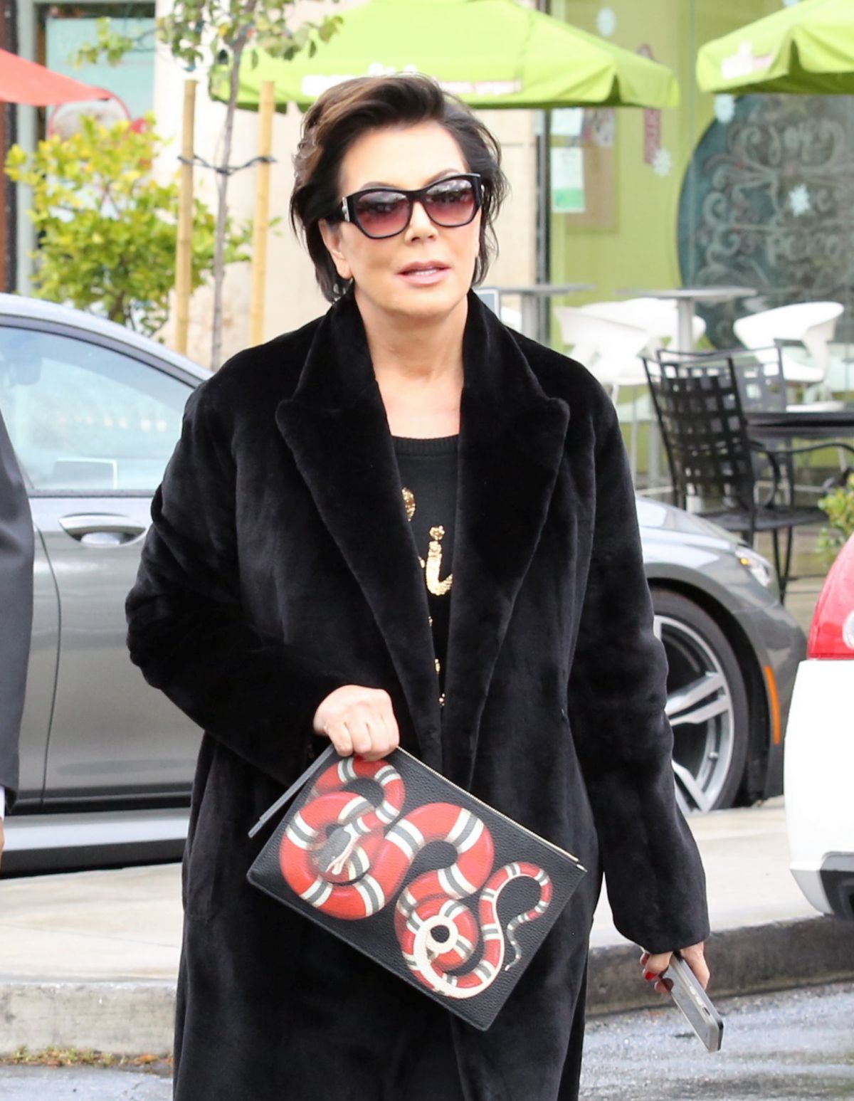 kris-jenner-gucci-sanke-print-leather-pouch-1