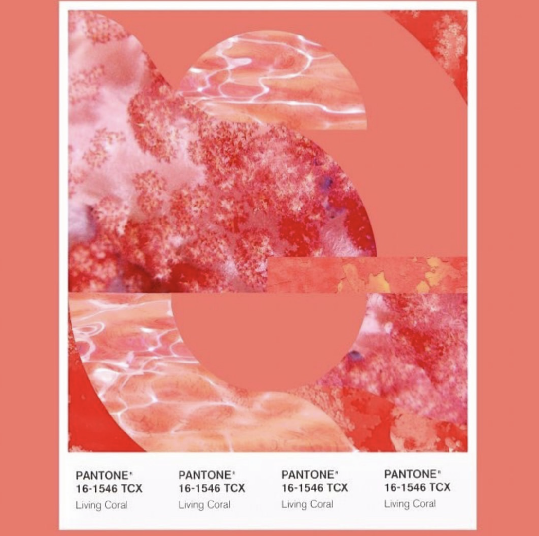 Pantone-Color-Of-The-Year-Announced-3