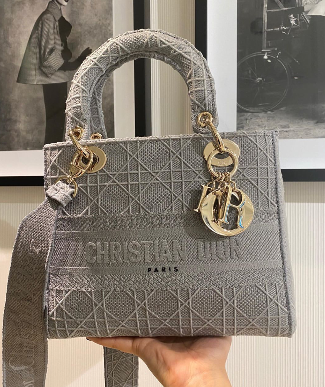 Dior_Cannage_Collection_1