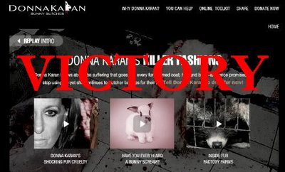 Intern Candidate Anitra: Donna Karen to Go Furless