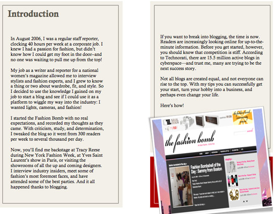 Ebook # 2 : The Fashion Bomb’s Guide to Blogging