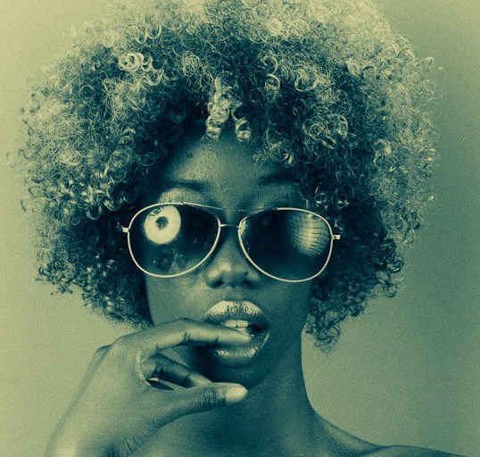 Vote The Fashion Bomb for Best Style & Fashion Blog in the 2010 Black Weblog Awards!