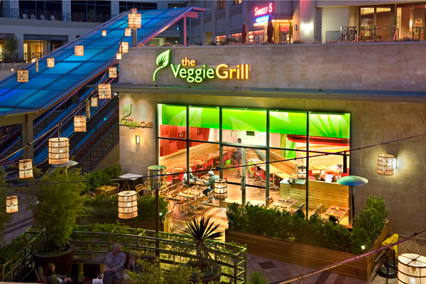 Angie’s World: My Diet and Workout Regimen