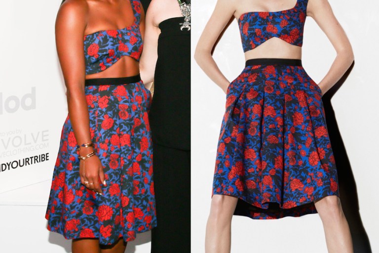 Hot! or Hmm…: Hannah Bronfman’s People Stylewatch x Revolve Fall Fashion Party Sophie Theallet Resort 2016 One Shoulder Blue and Red Garden Print Bustier Top and Full Skirt
