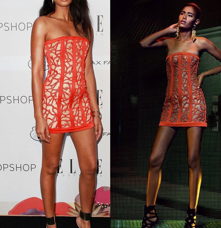 Hot! or Hmm… Chanel Iman’s ELLE Style Australia Awards Balmain Resort 2016 Strapless Branch Embroidered Mini Dress