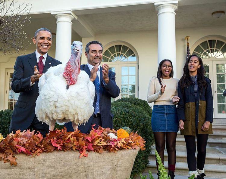Wardrobe Query: Malia Obama’s President Barack Obama Turkey Pardoning Ceremony J.Crew Navy Blue and Gold Brown Colorblock Two Tone Field Coat