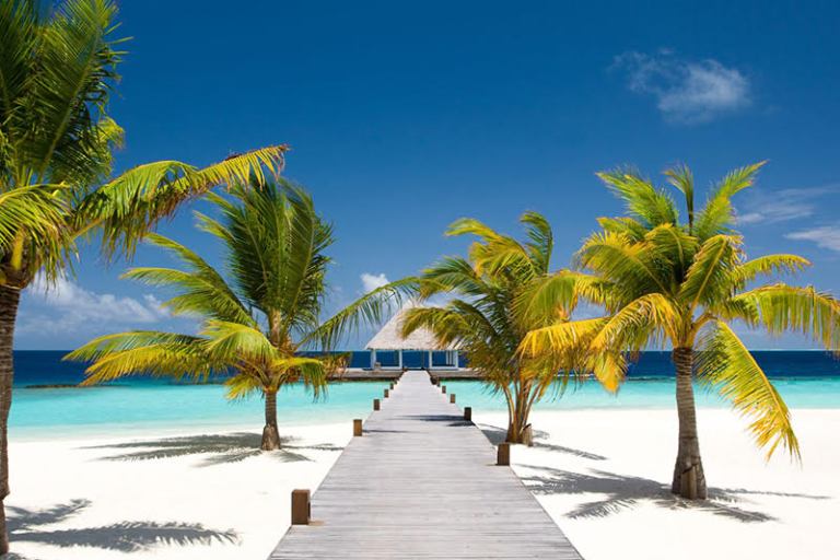 You Should Know: Visiter L’Afrique