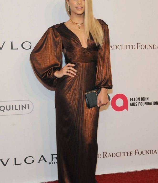 Splurge: Jasmine Sanders’s Elton John AIDS Foundation Gala Maria Lucia Hohan Bronze Tawny Gown