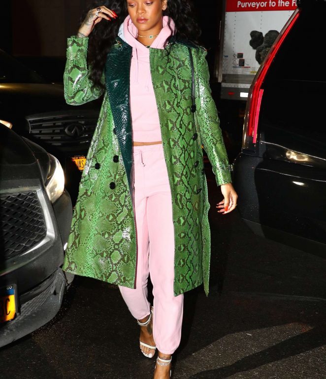 Look for Less: Rihanna’s New York City $531 Vetements x Champion Blush Fitted Hoodie and $531 Sweatpants