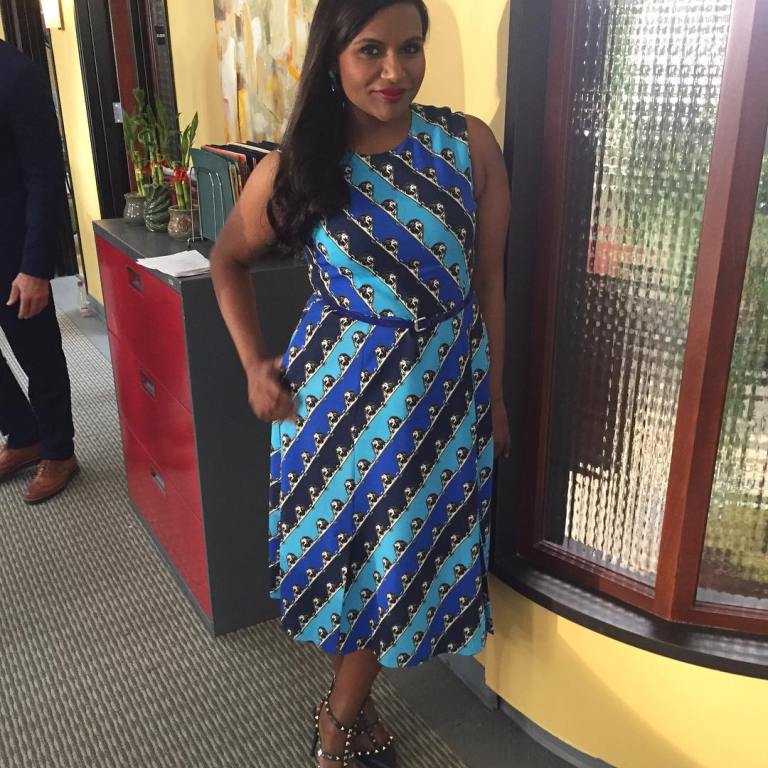 Splurge: Mindy Kaling’s Instagram $706 Mary Katrantzou Osmond Stripe Lion Print Crepe Dress