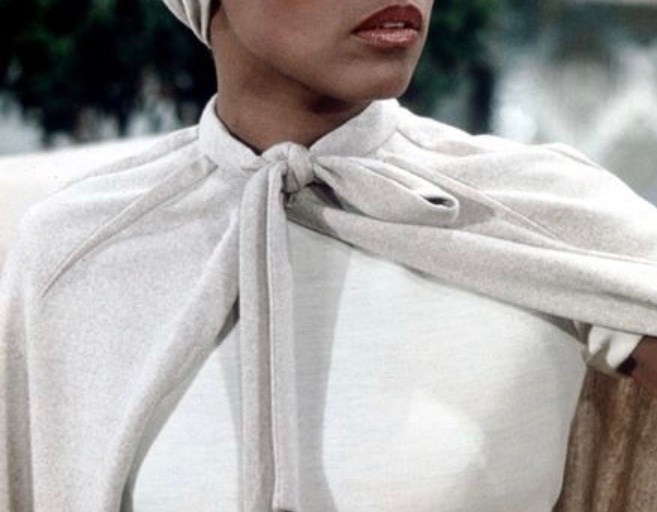 BeautyLifeFun Remembers & Pays Tribute to Legendary Actress & Fashion Icon: Diahann Carroll