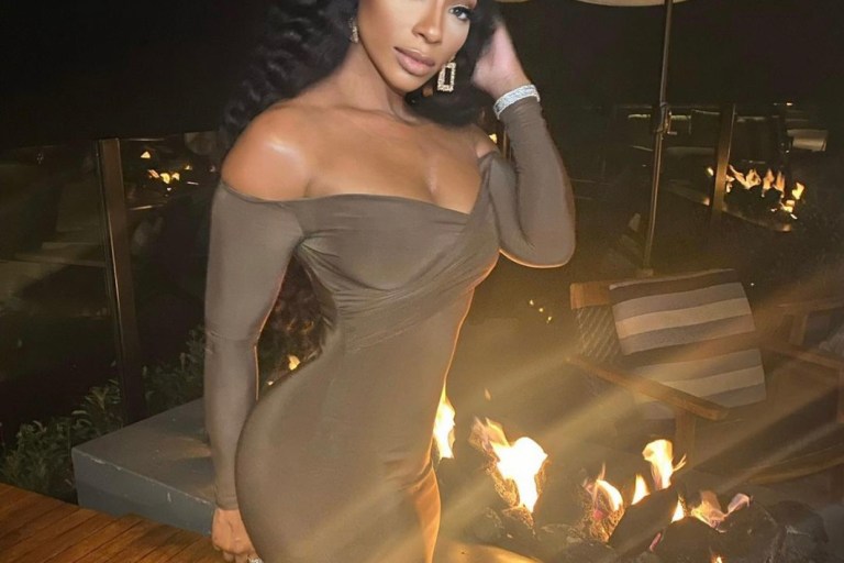Tommie Lee Beamed in Brown Midi Fashion Nova Dress