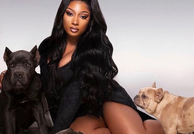 Megan Thee Stallion Poses In Fashion Nova’s Black 3 Piece Short Set