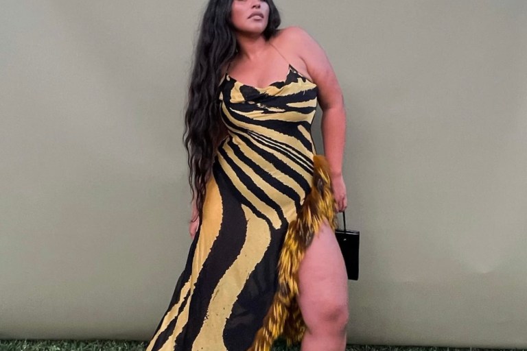 Paloma Elsesser Attends Wedding Wearing Roberto Cavalli FW 2000 Black and Yellow Fur-Trim Zebra Print Gown As Worn by the Late Aaliyah
