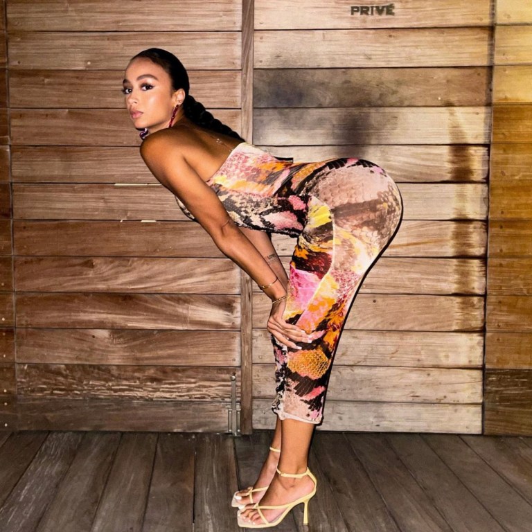 Draya Michele Vacays in St. Barts Wearing Fashion Nova Multicolor Animal Print Mesh Midi Dress