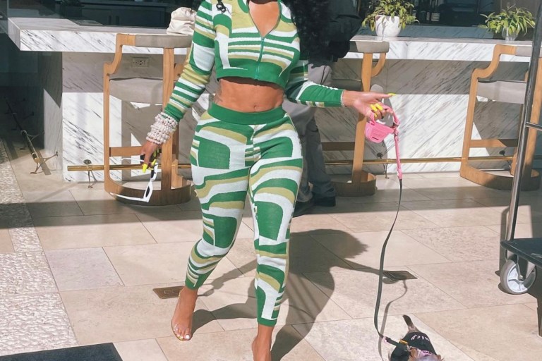Tommie Spied Walking Her Dog in a Stylish Green Sweater Crop Top and Legging Set From Fashion Nova