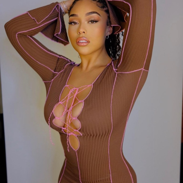 Jordyn Woods Stuns in Fashion Nova Brown and Pink Exposed Contrasting Seam Lace-Up Mini Dress