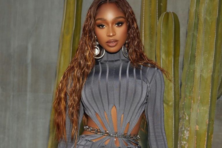 Normani Stuns in Dion Lee Gray Ribbed Cut Out Chain Detail Dress and Jessica Rich Silver Drip Sandals