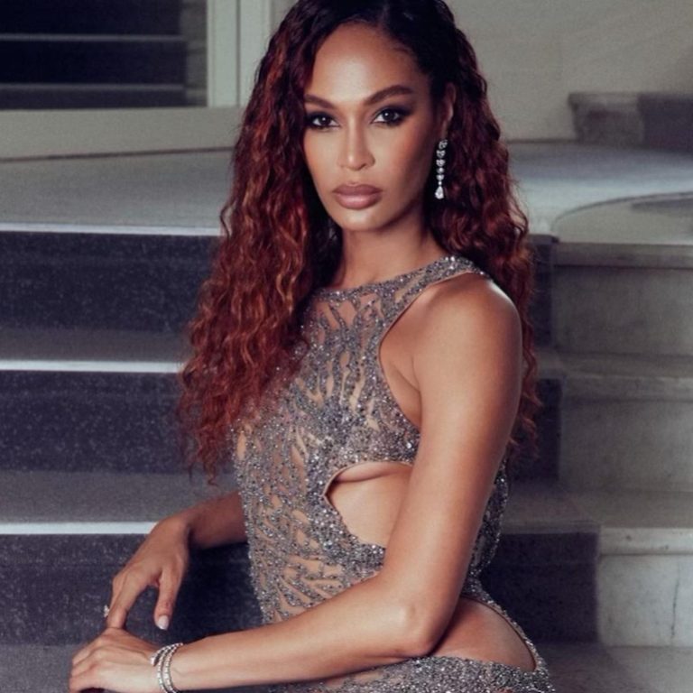 Joan Smalls Looks Bomb at Amfar in Dundas and Indique Hair
