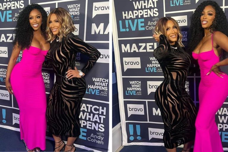 Sheree Whitfield and Porsha Guobadia Appeared on Bravo Watch What Happens Live in a Black Versace Dress and Hot Pink Brandon Maxwell  Strapless Gown