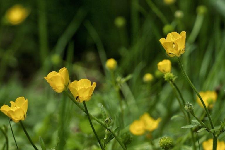 Creating an Eco-Friendly Beauty Kit for Every Season: Sustainable Tips for Year-Round Glow