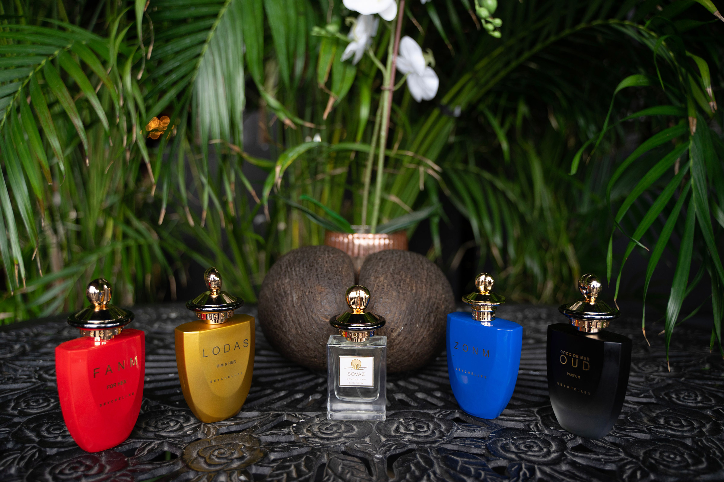 All Fragrances Tabletop
