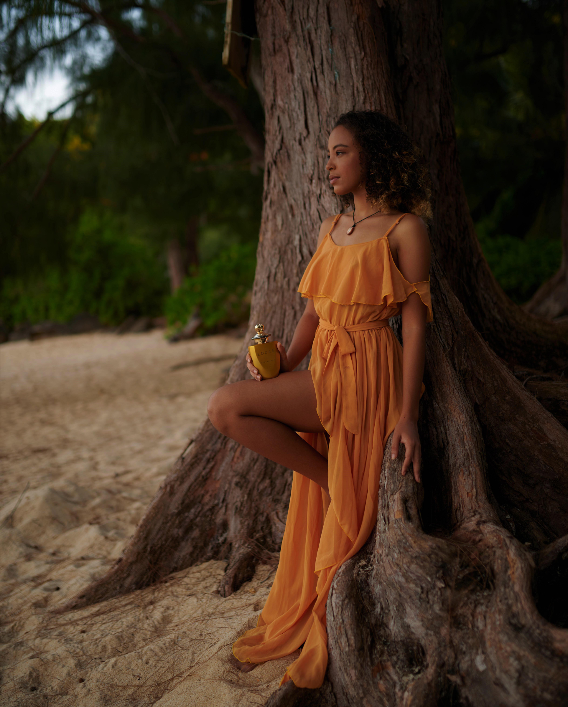 Sunset Albero Gamba Lodas