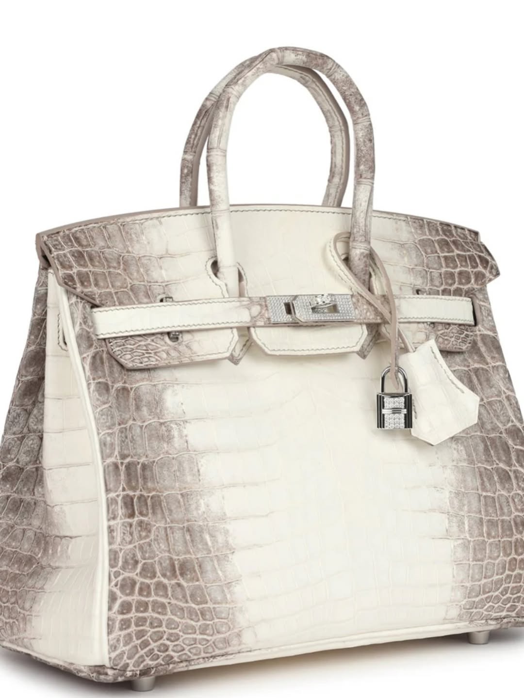 3 Jordyn Woods Courtside In Fur With An Hermes Himalayan Birkin And Dsquared2 Stiletto Boots