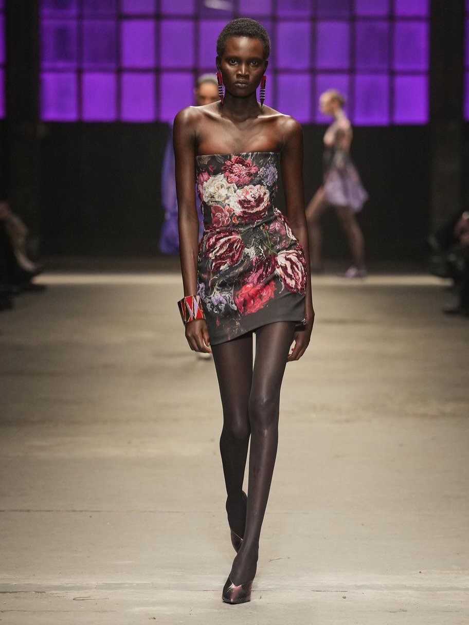 3 On The Scene At Roberto Cavalli Fall 2026 In Milan Olandria Megan Thee Stallion Coco Jones Didi Stone And More In Animal Prints Sheer Lace And Feathered Gowns