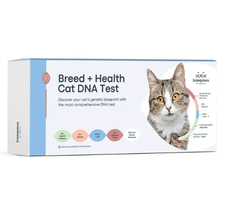 The Rise of Pet Personalization: Cat DNA and the New Luxury Pet Culture